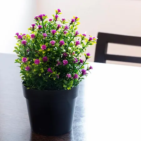 Apartamento Turistico Mareo 97 아파트