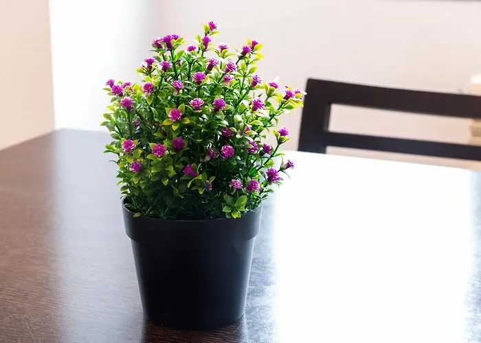 Apartamento Turistico Mareo 97 아파트